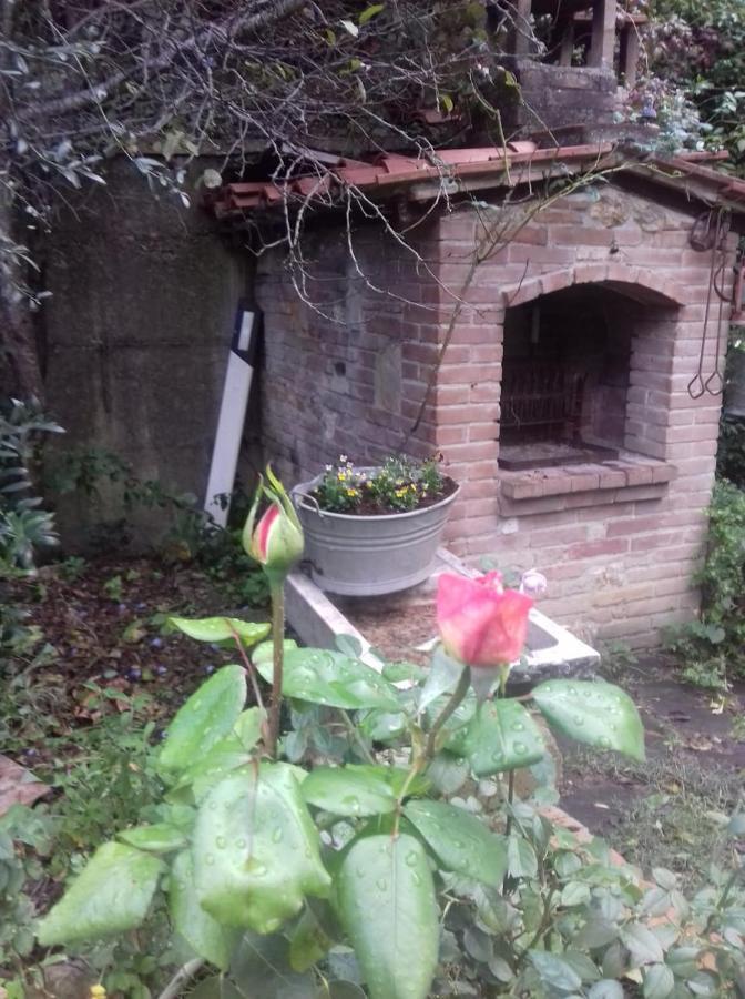 Casa Patti Alle Porte Di Siena Eksteriør billede