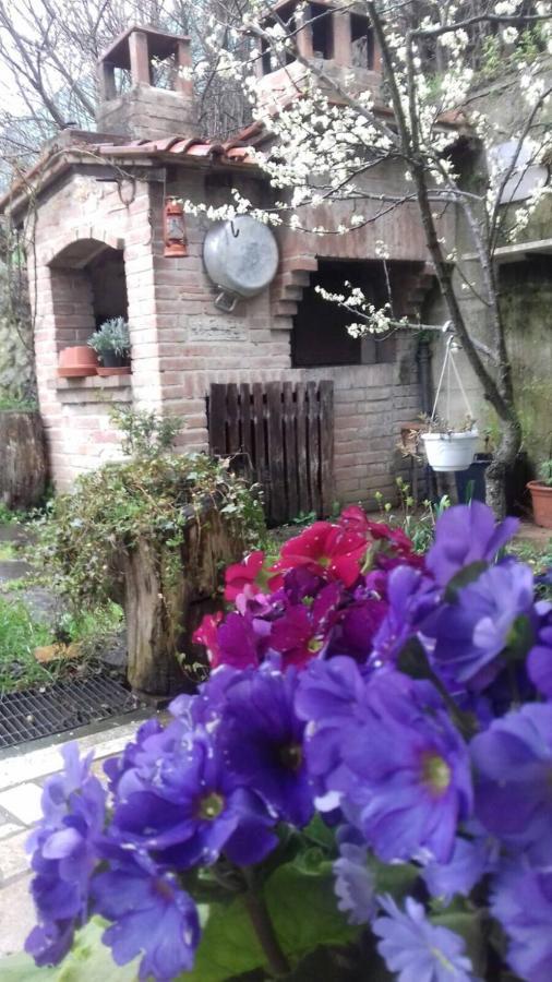 Casa Patti Alle Porte Di Siena Eksteriør billede