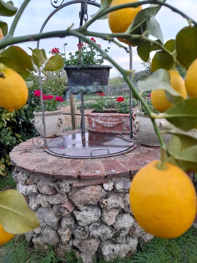 Casa Patti Alle Porte Di Siena Eksteriør billede
