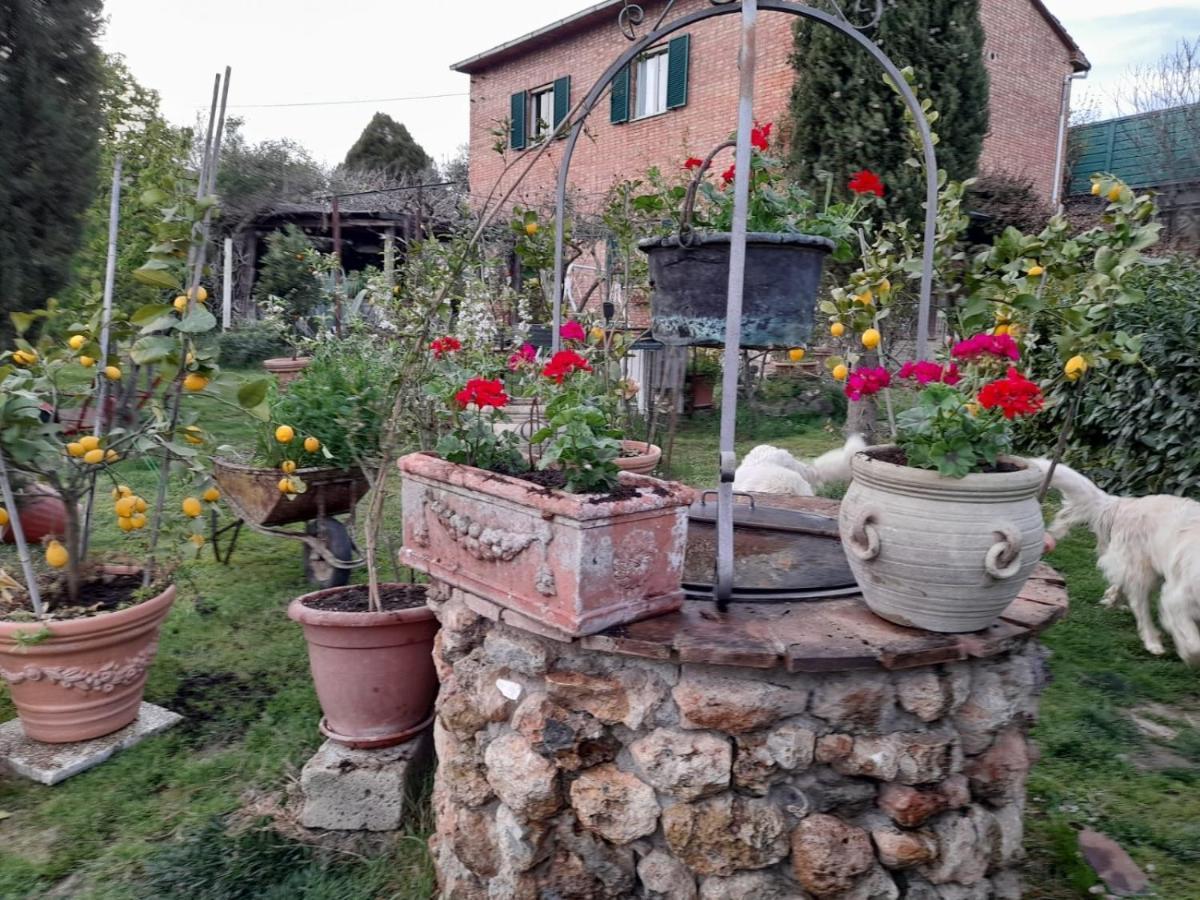 Casa Patti Alle Porte Di Siena Eksteriør billede