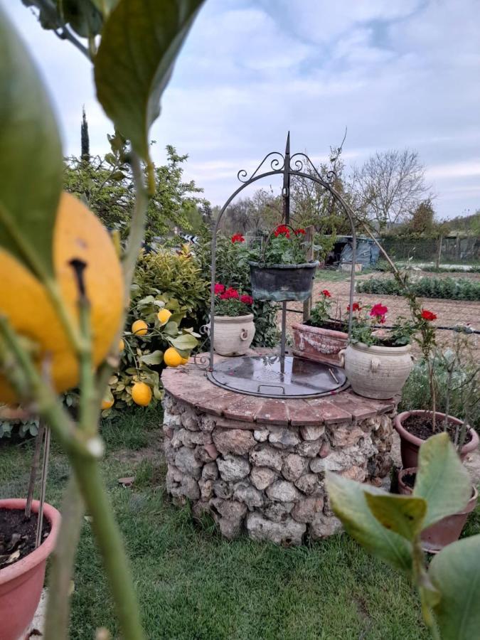 Casa Patti Alle Porte Di Siena Eksteriør billede