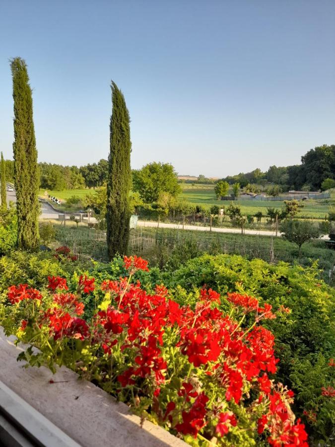 Casa Patti Alle Porte Di Siena Eksteriør billede